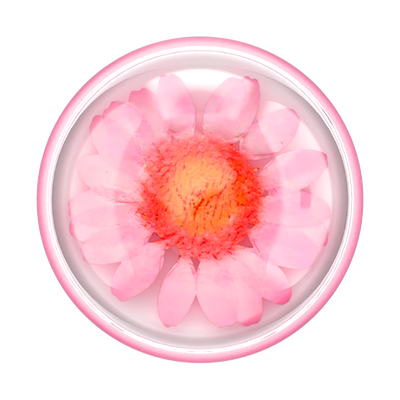 Pressed Flower Globe Pink Daisy