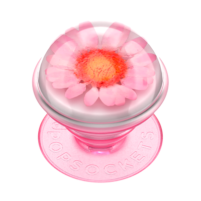 Secondary image for hover Pressed Flower Globe Pink Daisy