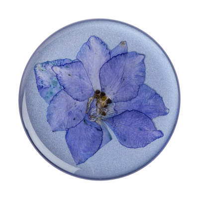 Pressed Flower Larkspur Purple
