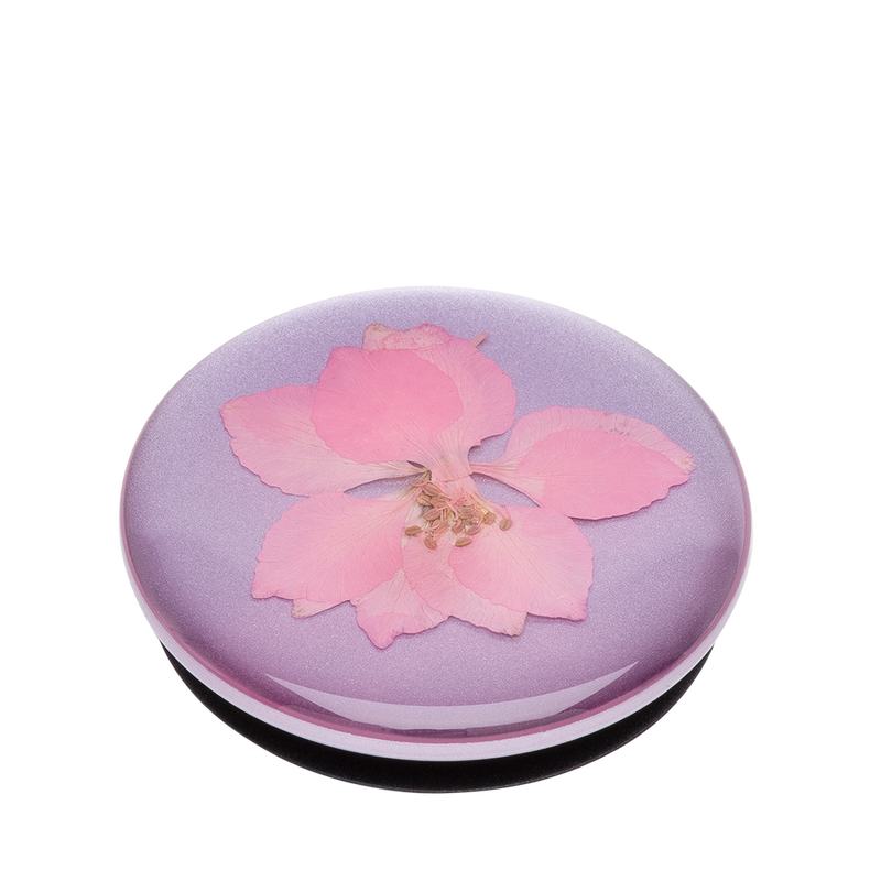 Pressed Flower Delphinium Pink image number 2