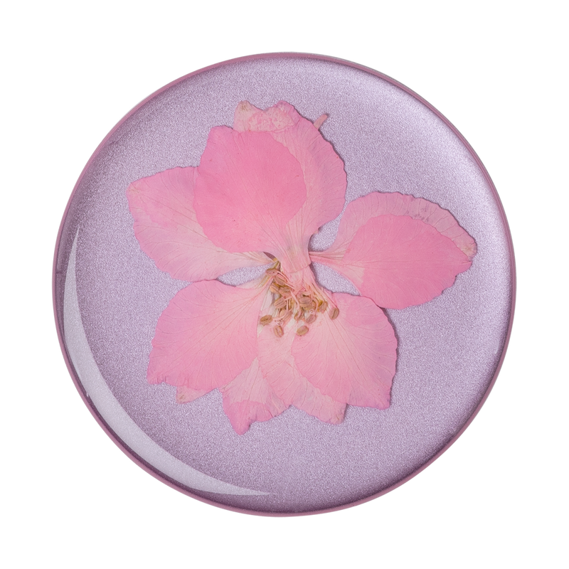 Pressed Flower Delphinium Pink image number 1