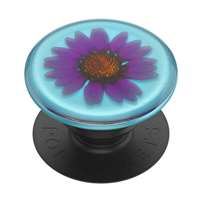Secondary image for hover Pressed Flower Purple Daisy