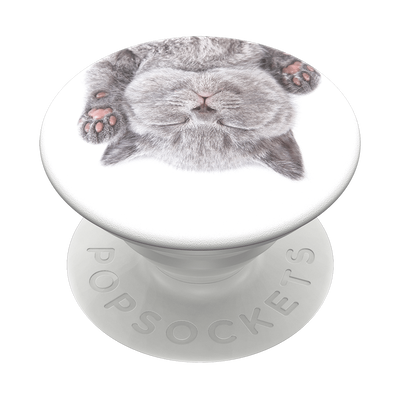 Secondary image for hover Cat Nap