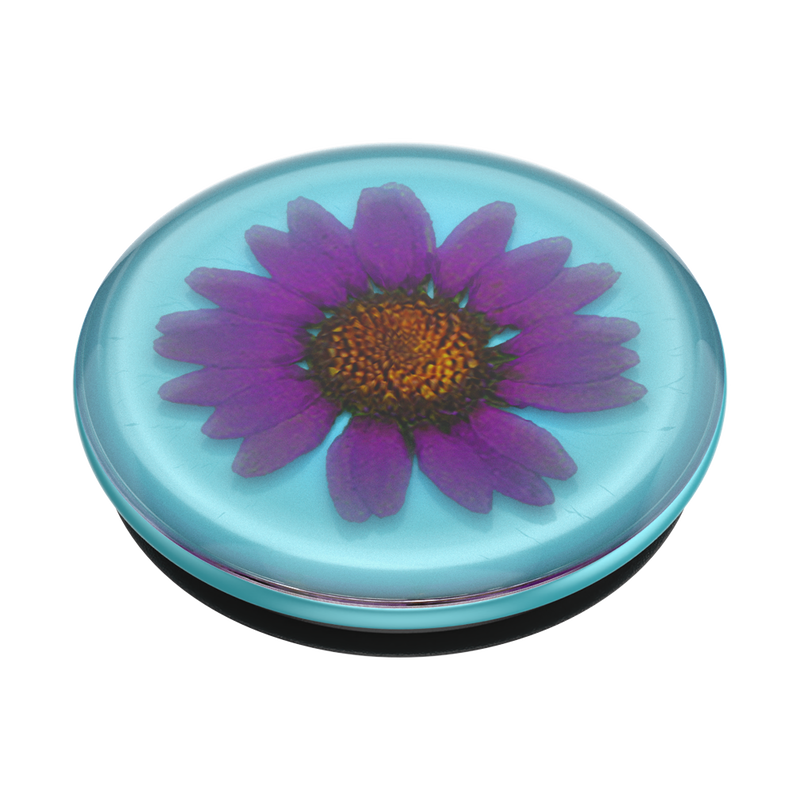 Pressed Flower Purple Daisy image number 2