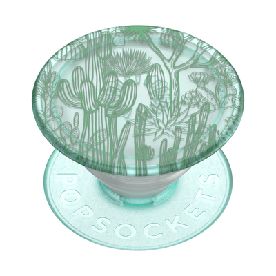 Secondary image for hover PlantCore Cacti